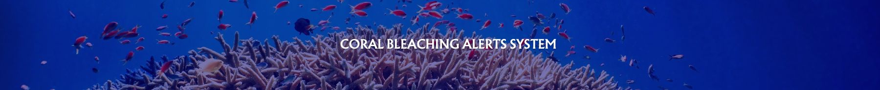 Inner Banner of Consumer Affairs