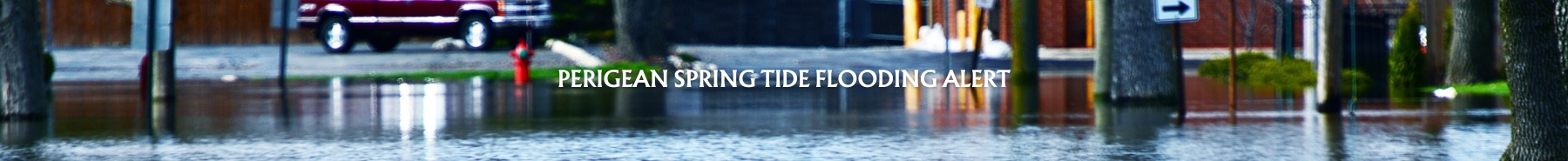 Inner Banner of Consumer Affairs